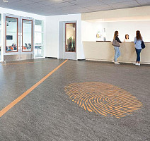 Forbo Marmoleum Decibel on Order 317435 Sahara фото 2 | FLOORDEALER